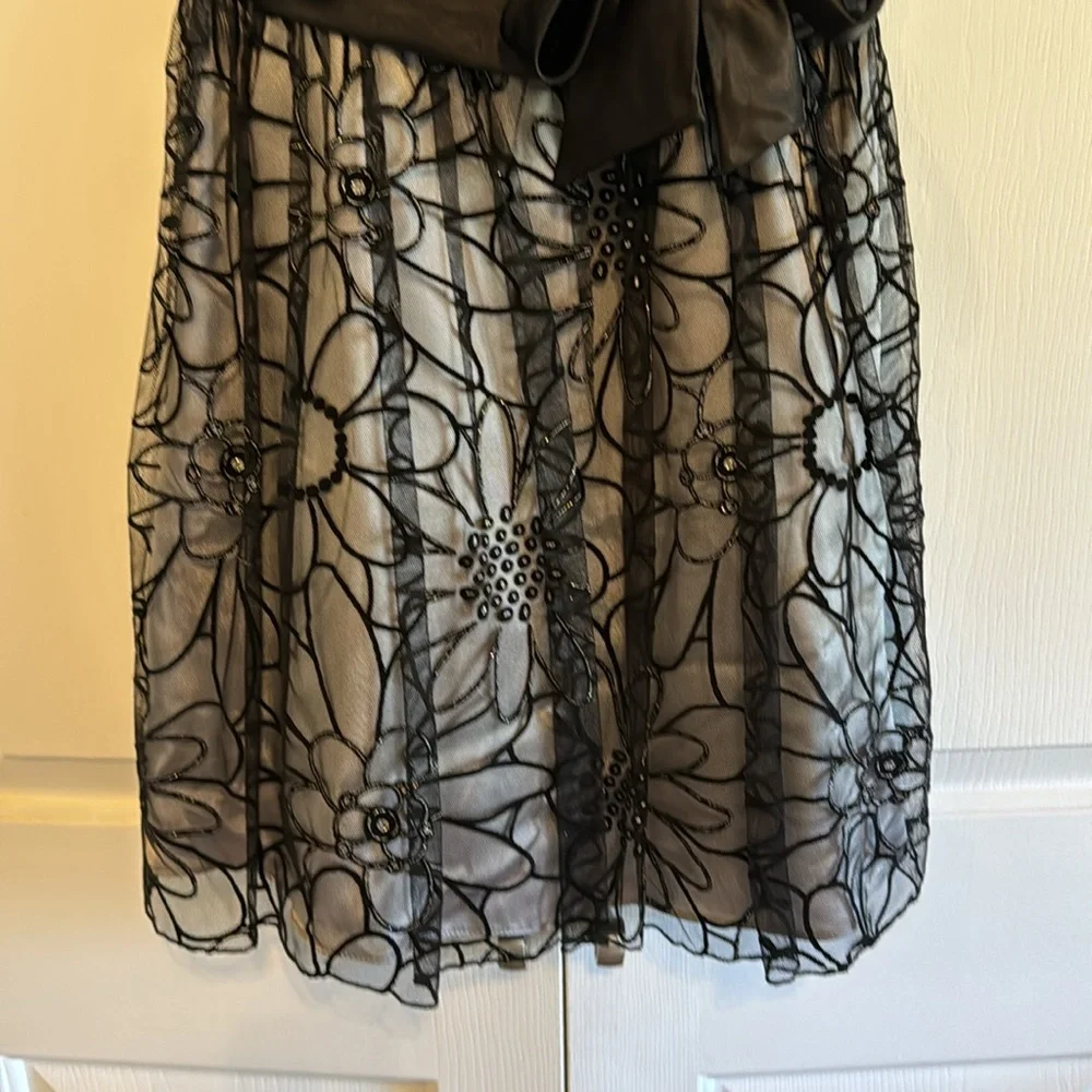 Dollar Brand Party Dress Gray with Black Floral Mesh Overlay Size XS - Picture 4 of 14